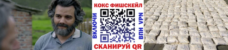 Купить где  Буй  COCAIN Fish Scale 