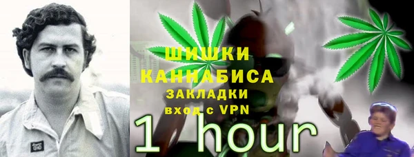 PSILOCYBIN Армянск