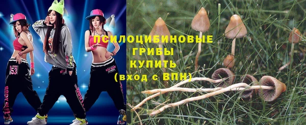 PSILOCYBIN Армянск