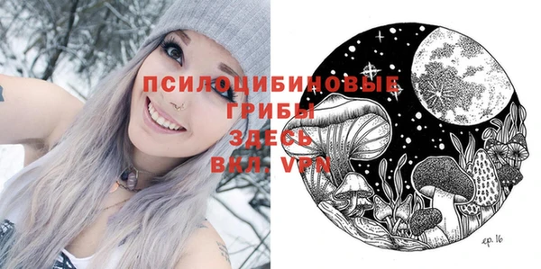 не бодяженный Аркадак