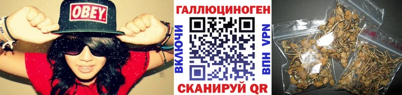 Галлюциногенные грибы ЛСД  Купить где  Буй 